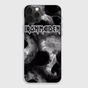 Чехол для iPhone 12 Pro с принтом Iron Maiden , силикон | область печати: задняя сторона чехла, без боковых панелей | Тематика изображения на принте: бас | британия | брюс дикинсон | гитара | группа | дева | железная | метал | нико макбрэйн | рок | стив харрис | хеви | яник герс