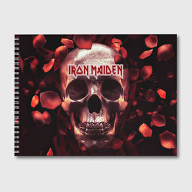 Альбом для рисования с принтом Iron Maiden , 100% бумага
 | матовая бумага, плотность 200 мг. | бас | британия | брюс дикинсон | гитара | группа | дева | железная | метал | нико макбрэйн | рок | стив харрис | хеви | яник герс
