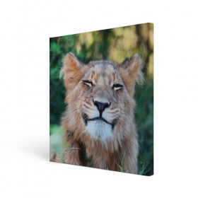 Холст квадратный с принтом Улыбка львицы , 100% ПВХ |  | Тематика изображения на принте: голова | животные | кот | кошка | лев | лицо | львица | прикол | прикольные | природа | смешные | тигр | тигрица | улыбается | улыбка | юмор