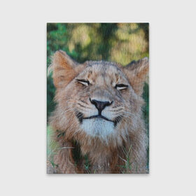 Обложка для паспорта матовая кожа с принтом Улыбка львицы , натуральная матовая кожа | размер 19,3 х 13,7 см; прозрачные пластиковые крепления | голова | животные | кот | кошка | лев | лицо | львица | прикол | прикольные | природа | смешные | тигр | тигрица | улыбается | улыбка | юмор