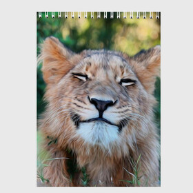 Скетчбук с принтом Улыбка львицы , 100% бумага
 | 48 листов, плотность листов — 100 г/м2, плотность картонной обложки — 250 г/м2. Листы скреплены сверху удобной пружинной спиралью | голова | животные | кот | кошка | лев | лицо | львица | прикол | прикольные | природа | смешные | тигр | тигрица | улыбается | улыбка | юмор