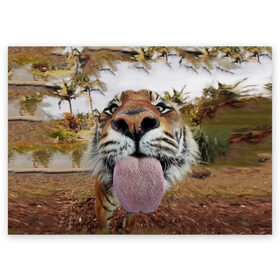 Поздравительная открытка с принтом Тигр показывает язык , 100% бумага | плотность бумаги 280 г/м2, матовая, на обратной стороне линовка и место для марки
 | Тематика изображения на принте: голова | животные | кот | кошка | лев | лицо | прикол | прикольные | природа | смешные 
 животные | тигр | тигрица | юмор | язык