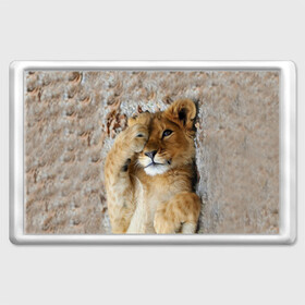 Магнит 45*70 с принтом Львенок , Пластик | Размер: 78*52 мм; Размер печати: 70*45 | Тематика изображения на принте: дикая кошка | животные | кот | кошка | лев | львенок | львица | мордочка | природа | тигр | хищник