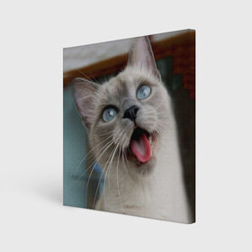 Холст квадратный с принтом Сиамский котенок , 100% ПВХ |  | животные | кот | котенок | котик | кошечка | кошка | милый | мордочка | показывает язык | прикол | серый | сиамская | сиамская кошка | сиамский котенок | юмор | язык