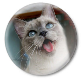 Значок с принтом Сиамский котенок ,  металл | круглая форма, металлическая застежка в виде булавки | Тематика изображения на принте: животные | кот | котенок | котик | кошечка | кошка | милый | мордочка | показывает язык | прикол | серый | сиамская | сиамская кошка | сиамский котенок | юмор | язык