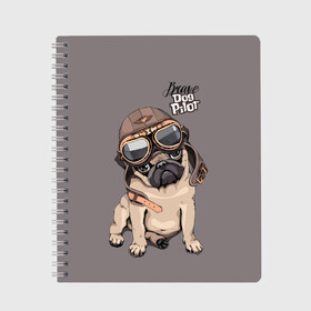 Тетрадь с принтом Brave dog pilot , 100% бумага | 48 листов, плотность листов — 60 г/м2, плотность картонной обложки — 250 г/м2. Листы скреплены сбоку удобной пружинной спиралью. Уголки страниц и обложки скругленные. Цвет линий — светло-серый
 | Тематика изображения на принте: animal | beautiful | brave | childish | cute | dog | emblem | helmet | homemade | kid | pilot | pug | белый | детский | домашнее | животное | красивый | лётчик | малыш | милый | мопс | надпись | очки | пилот | рисунок | собака | текст | фон | хр