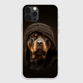 Чехол для iPhone 12 Pro Max с принтом Ротвейлер в капюшоне , Силикон |  | rottweiler | капюшон | молоссы | пастух | пёс | собака | щенок