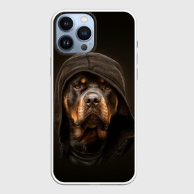 Чехол для iPhone 13 Pro Max с принтом Ротвейлер в капюшоне ,  |  | rottweiler | капюшон | молоссы | пастух | пёс | собака | щенок