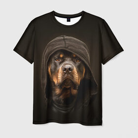 Мужская футболка 3D с принтом Ротвейлер в капюшоне , 100% полиэфир | прямой крой, круглый вырез горловины, длина до линии бедер | Тематика изображения на принте: rottweiler | капюшон | молоссы | пастух | пёс | собака | щенок