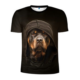 Мужская футболка 3D спортивная с принтом Ротвейлер в капюшоне , 100% полиэстер с улучшенными характеристиками | приталенный силуэт, круглая горловина, широкие плечи, сужается к линии бедра | rottweiler | капюшон | молоссы | пастух | пёс | собака | щенок