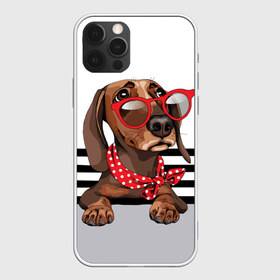 Чехол для iPhone 12 Pro Max с принтом Такса в очках , Силикон |  | animal | black | breed | dachshund | dog | domestic | drawing | gra | polka | red | shawl | stripes | white | белый | горошек | графика | домашняя | животное | красный | надпись | очки | платок | полосы | порода | рисунок | собака | такса | текс