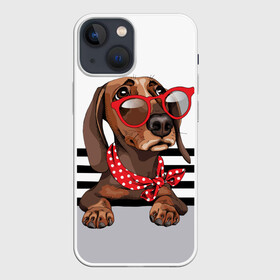 Чехол для iPhone 13 mini с принтом Такса в очках ,  |  | animal | black | breed | dachshund | dog | domestic | drawing | gra | polka | red | shawl | stripes | white | белый | горошек | графика | домашняя | животное | красный | надпись | очки | платок | полосы | порода | рисунок | собака | такса | текс