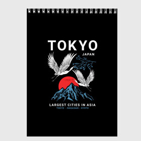 Скетчбук с принтом Tokyo , 100% бумага
 | 48 листов, плотность листов — 100 г/м2, плотность картонной обложки — 250 г/м2. Листы скреплены сверху удобной пружинной спиралью | Тематика изображения на принте: cities | country | japan | large | most | mountains | nagasaki | tokyo | travel | большие | восход | города | горы | графика | журавли | закат | летят | нагасаки | надпись | полет | птицы | путешествия | рисунок | самые | солнце | страна