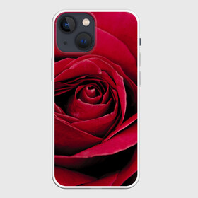 Чехол для iPhone 13 mini с принтом Бутон алой розы ,  |  | 8 | day | flower | flowers | international | nature | pud | rose | roses | womens | бутон | день | женский | марта | международный | природа | растение | роза | розы | цветок | цветы