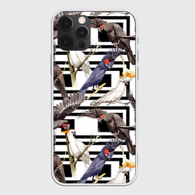 Чехол для iPhone 12 Pro Max с принтом Попугаи какаду , Силикон |  | birds | bri | cockatoo | exotic | jungle | palm | parrots | tropical | акварель | геометрический | графика | джунгли | иллюстрация | картинка | мода | молодежная | орнамент | пальмы | попугаи | птицы | рисунок | стиль