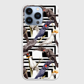 Чехол для iPhone 13 Pro с принтом Попугаи какаду ,  |  | birds | bri | cockatoo | exotic | jungle | palm | parrots | tropical | акварель | геометрический | графика | джунгли | иллюстрация | картинка | мода | молодежная | орнамент | пальмы | попугаи | птицы | рисунок | стиль