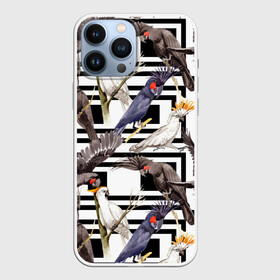 Чехол для iPhone 13 Pro Max с принтом Попугаи какаду ,  |  | birds | bri | cockatoo | exotic | jungle | palm | parrots | tropical | акварель | геометрический | графика | джунгли | иллюстрация | картинка | мода | молодежная | орнамент | пальмы | попугаи | птицы | рисунок | стиль