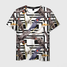 Мужская футболка 3D с принтом Попугаи какаду , 100% полиэфир | прямой крой, круглый вырез горловины, длина до линии бедер | birds | bri | cockatoo | exotic | jungle | palm | parrots | tropical | акварель | геометрический | графика | джунгли | иллюстрация | картинка | мода | молодежная | орнамент | пальмы | попугаи | птицы | рисунок | стиль