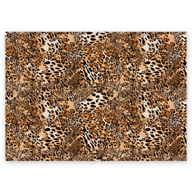 Поздравительная открытка с принтом Леопард , 100% бумага | плотность бумаги 280 г/м2, матовая, на обратной стороне линовка и место для марки
 | camouflage | cat | disguise | fashion | illustration | jungle | leopard | predator | skin | spots | style | wild | youth | графика | джунгли | дикий | иллюстрация | камуфляж | картинка | кошка | леопард | маскировка | мода | молодежная | пятна | рисунок |