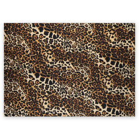 Поздравительная открытка с принтом Леопард , 100% бумага | плотность бумаги 280 г/м2, матовая, на обратной стороне линовка и место для марки
 | Тематика изображения на принте: camouflage | cat | disguise | fashion | illustration | jungle | leopard | predator | skin | spots | style | wild | youth | графика | джунгли | дикий | иллюстрация | камуфляж | картинка | кошка | леопард | маскировка | мода | молодежная | пятна | рисунок |