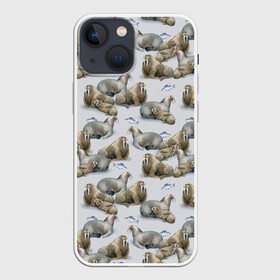 Чехол для iPhone 13 mini с принтом Моржи ,  |  | animals | big | f | fangs | fish | fishing | ice | lie | northern | snow | style | walruses | wild | youth | большие | графика | дикие | животные | иллюстрация | картинка | клыки | лёд | лежат | мода | молодежная | моржи | рисунок | рыба | рыбалка