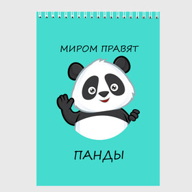 Скетчбук с принтом ПАНДА , 100% бумага
 | 48 листов, плотность листов — 100 г/м2, плотность картонной обложки — 250 г/м2. Листы скреплены сверху удобной пружинной спиралью | bear | panda | the world is ruled by pandas | животное | медведь | мир | панда | правят панды | приветы | просто красавчик