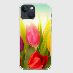 Чехол для iPhone 13 mini с принтом Тюльпаны ,  |  | бабушке | девочке | девушке | дочке | желтые цветы | женщине | маме | подруге | природа | розовые цветы | розы | сестре | теще | тюльпаны | цветы