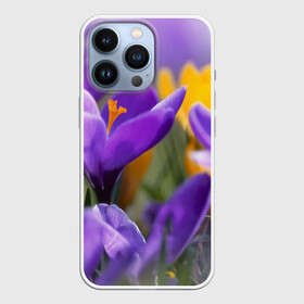 Чехол для iPhone 13 Pro с принтом Фиолетовые цветы ,  |  | бабушке | девочке | девушке | дочке | желтые цветы | женщине | маме | подруге | природа | розовые цветы | розы | сестре | теще | тюльпаны | цветы