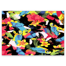 Поздравительная открытка с принтом ЦВЕТНАЯ ФУТБОЛКА , 100% бумага | плотность бумаги 280 г/м2, матовая, на обратной стороне линовка и место для марки
 | попугай | цветная | цветы