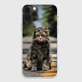 Чехол для iPhone 12 Pro с принтом Dead Cat , силикон | область печати: задняя сторона чехла, без боковых панелей | Тематика изображения на принте: louis creed | pet cemetery | pet sematary | stephen king | кладбище домашних животных | луис крид | стивен кинг | ужастик