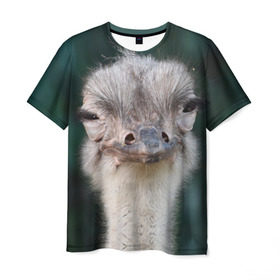 Мужская футболка 3D с принтом Подозрительный страус , 100% полиэфир | прямой крой, круглый вырез горловины, длина до линии бедер | lol | глаза | голова | детям | животные | зеленая | лол | подарок | подмигивает | подозрительно | прикольная | природа | смешная | страус | эмоции | юмор