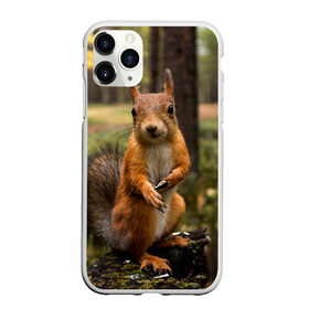 Чехол для iPhone 11 Pro матовый с принтом Белочка , Силикон |  | Тематика изображения на принте: белка | веселая | весна | глаза | грызун | деревья | зверек | зверь | зеленая | зелень | классная | лес | лето | новинка | осень | пенек | позирует | прикольная | природа | пушистая | рыжая | семечки | фото
