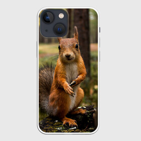 Чехол для iPhone 13 mini с принтом Белочка ,  |  | белка | веселая | весна | глаза | грызун | деревья | зверек | зверь | зеленая | зелень | классная | лес | лето | новинка | осень | пенек | позирует | прикольная | природа | пушистая | рыжая | семечки | фото
