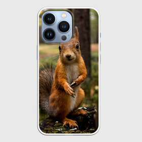 Чехол для iPhone 13 Pro с принтом Белочка ,  |  | Тематика изображения на принте: белка | веселая | весна | глаза | грызун | деревья | зверек | зверь | зеленая | зелень | классная | лес | лето | новинка | осень | пенек | позирует | прикольная | природа | пушистая | рыжая | семечки | фото