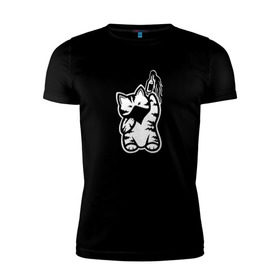 Мужская футболка хлопок Slim с принтом Anarchist Cat Molotov Cocktail , 92% хлопок, 8% лайкра | приталенный силуэт, круглый вырез ворота, длина до линии бедра, короткий рукав | banksy | анархист | анархия | бутылка | бэнкси | граффити | киса | киска | коктейль молотова | кот | котейка | котенок | котик | котэ | котя | кошка