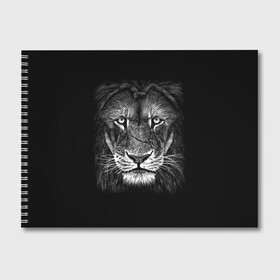 Альбом для рисования с принтом Lion Art , 100% бумага
 | матовая бумага, плотность 200 мг. | Тематика изображения на принте: акварель | арт | белый | взгляд | грива | дикий | живопись | зверь | искусство | король | кот | лев | львица | мазки | мощь | прайд | саванна | сила | царь | черный | шрам