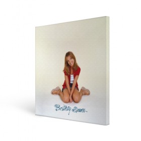 Холст квадратный с принтом Oldschool Britney , 100% ПВХ |  | Тематика изображения на принте: britney | britneyspears | glitch | icon | jean | pop | princess | spears | usa | бритни | бритниспирс | глич | джин | поп | работа | спирс | сша