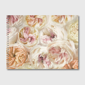 Альбом для рисования с принтом Нежные Пионы , 100% бумага
 | матовая бумага, плотность 200 мг. | Тематика изображения на принте: букет | красивый | милый | пион | роза | розовый | розочка | свадебный | флористика | цветок | цветы