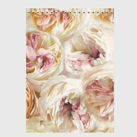 Скетчбук с принтом Нежные Пионы , 100% бумага
 | 48 листов, плотность листов — 100 г/м2, плотность картонной обложки — 250 г/м2. Листы скреплены сверху удобной пружинной спиралью | букет | красивый | милый | пион | роза | розовый | розочка | свадебный | флористика | цветок | цветы