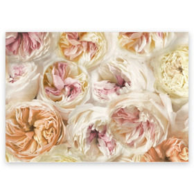 Поздравительная открытка с принтом Нежные Пионы , 100% бумага | плотность бумаги 280 г/м2, матовая, на обратной стороне линовка и место для марки
 | Тематика изображения на принте: букет | красивый | милый | пион | роза | розовый | розочка | свадебный | флористика | цветок | цветы