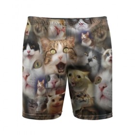 Мужские шорты 3D спортивные с принтом Те самые коты ,  |  | грустный кот мем | кот | кот мем | коты | кошка | мем | мем про котов | мемы | мемы с котами