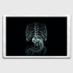 Магнит 45*70 с принтом Чужой на Рентгене  , Пластик | Размер: 78*52 мм; Размер печати: 70*45 | alien | больница | больной | внутренний мир | врач | клиника | кости | пациент | ребра | рентген | скелет | снимок | хищник