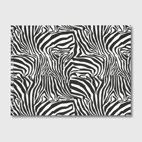 Альбом для рисования с принтом Полосы зебры , 100% бумага
 | матовая бумага, плотность 200 мг. | Тематика изображения на принте: abstraction | african | animal | black and white | camouflage | disguise | skin | stripes | zebra | абстракция | африканская | животное | зебры | камуфляж | маскировка | полосы | черно белый