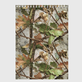 Скетчбук с принтом Камуфляж , 100% бумага
 | 48 листов, плотность листов — 100 г/м2, плотность картонной обложки — 250 г/м2. Листы скреплены сверху удобной пружинной спиралью | army | autumn | branches | camouflage | disguise | fishing | forest | green | khaki | leaves | nature | oak | photo | армия | ветки | дуб | зеленый | камуфляж | лес | листья | маскировка | осень | охота | природа | рыбалка | фото | хаки