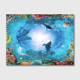 Альбом для рисования с принтом Дельфины , 100% бумага
 | матовая бумага, плотность 200 мг. | Тематика изображения на принте: fish | аква | аквариум | вода | кораллы | море | океан | ракушки | рыбки | рыбы