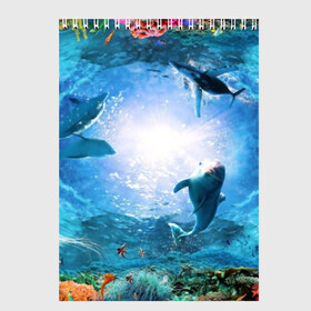 Скетчбук с принтом Дельфины , 100% бумага
 | 48 листов, плотность листов — 100 г/м2, плотность картонной обложки — 250 г/м2. Листы скреплены сверху удобной пружинной спиралью | Тематика изображения на принте: fish | аква | аквариум | вода | кораллы | море | океан | ракушки | рыбки | рыбы