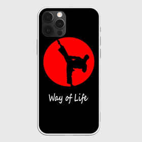 Чехол для iPhone 12 Pro Max с принтом Каратэ , Силикон |  | eastern | emblem | fighter | font | image | inscri | japanese | karate | kick | life | man | martial arts | red | silhouette | sport | sun | text | wrestling | боец | борьба | единоборства | жизни | каратэ | красное | мужчина | надпись | образ | силуэт | 