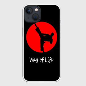 Чехол для iPhone 13 с принтом Каратэ ,  |  | eastern | emblem | fighter | font | image | inscri | japanese | karate | kick | life | man | martial arts | red | silhouette | sport | sun | text | wrestling | боец | борьба | единоборства | жизни | каратэ | красное | мужчина | надпись | образ | силуэт | 