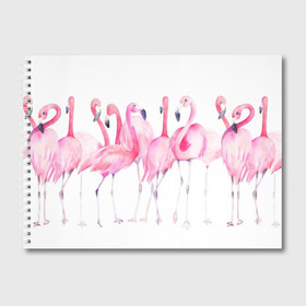 Альбом для рисования с принтом Фламинго , 100% бумага
 | матовая бумага, плотность 200 мг. | art | birds | flamingo | flock | illustration | pink | summer | watercolor | акварель | иллюстрация | искусство | лето | птицы | розовый | стая | фламинго