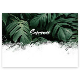 Поздравительная открытка с принтом Лето , 100% бумага | плотность бумаги 280 г/м2, матовая, на обратной стороне линовка и место для марки
 | summer | купить футболку | летний принт | растение | тропики | тропические растения | футболка